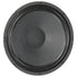 products/Eminence_LIL_TEXAS_12_Speaker_125_Watts_8_Ohm_front.jpg