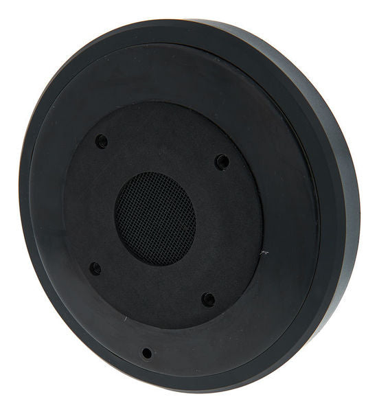 Eminence PSD3006-8 Driver 2