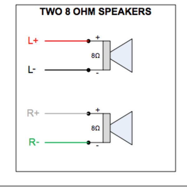 Plug and Play Jack Plate - The Speaker Factory