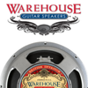 WGS Guitar Speakers