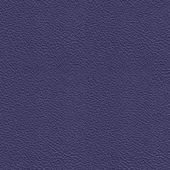 Purple Bronco Levant Tolex