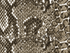 products/Snakeskin_tolex.png